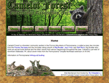 Tablet Screenshot of camelotforest.org